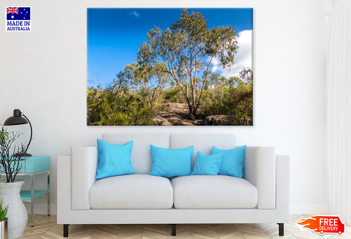 Rocks With Trees & Forest View Print 100% Australian Made