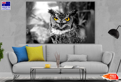 Owl Face Portrait B&W Yellow Eyes Photograph Print 100% Australian Made