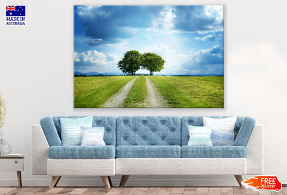 Trees with Two Paths & Blue Sky Photograph Print 100% Australian Made