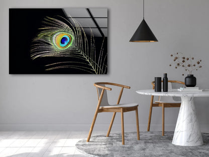 Peacock Feather Closeup Photograph Acrylic Glass Print Tempered Glass Wall Art 100% Made in Australia Ready to Hang