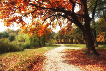 Autumn Trees & Walking Path View Print 100% Australian Made