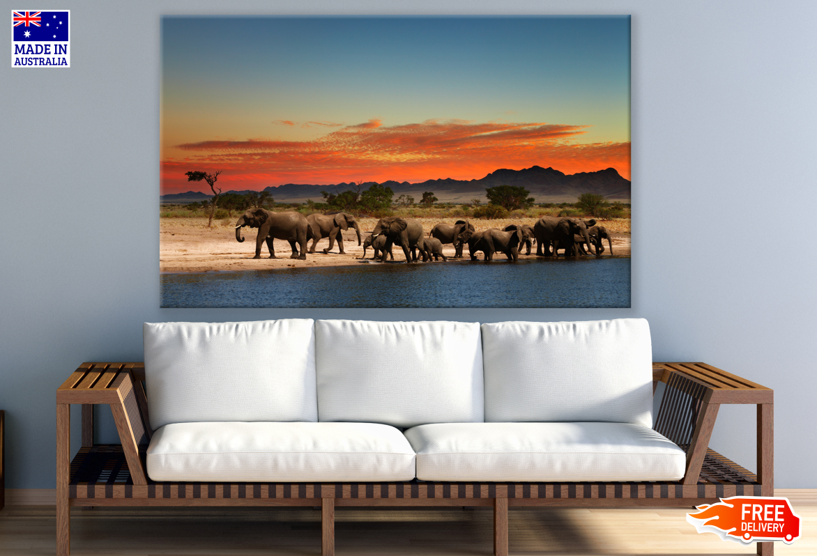 Elephant Herd Walking near Water Stream Sunset Photograph Print 100% Australian Made