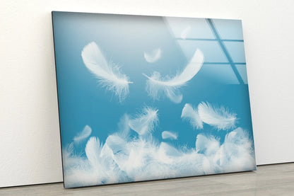 White Feathers Photograph Acrylic Glass Print Tempered Glass Wall Art 100% Made in Australia Ready to Hang