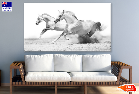 Horses Running on Sand Photograph Print 100% Australian Made