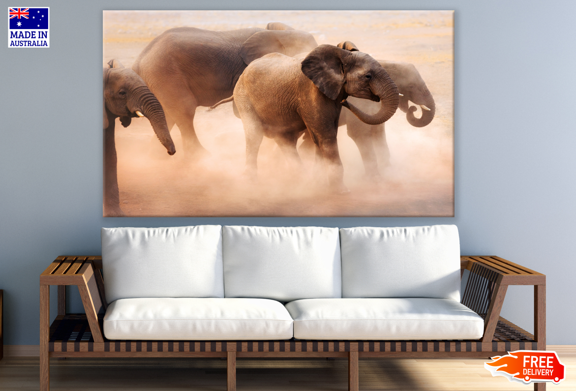 Elephants Running on Sand Photograph Print 100% Australian Made