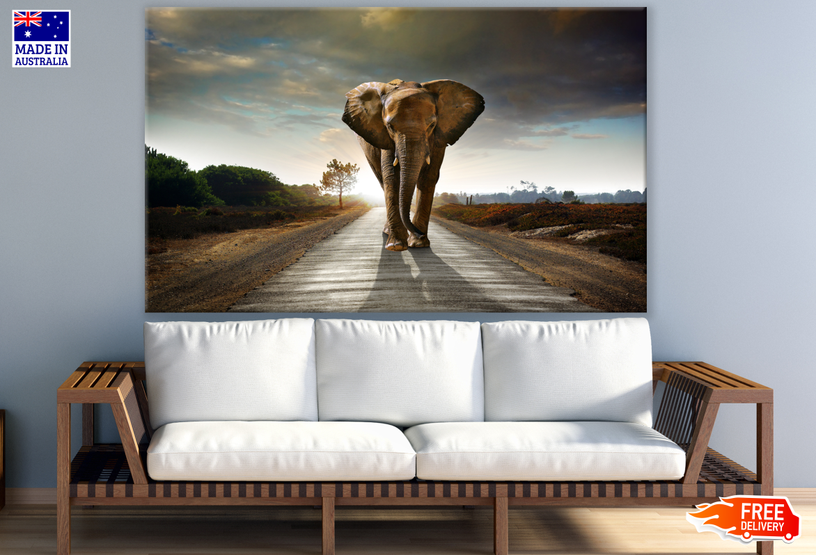 Elephant Walking on Road Photograph Print 100% Australian Made