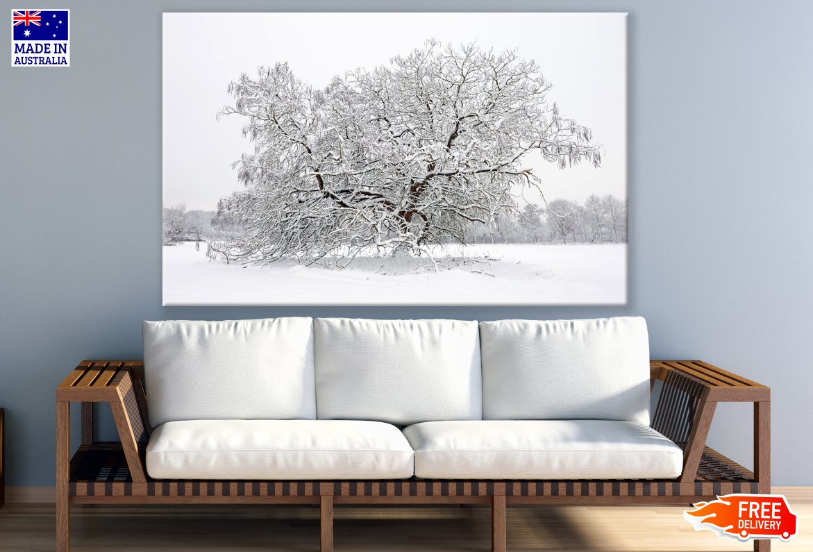 Tree Covered With Snow Photograph Print 100% Australian Made