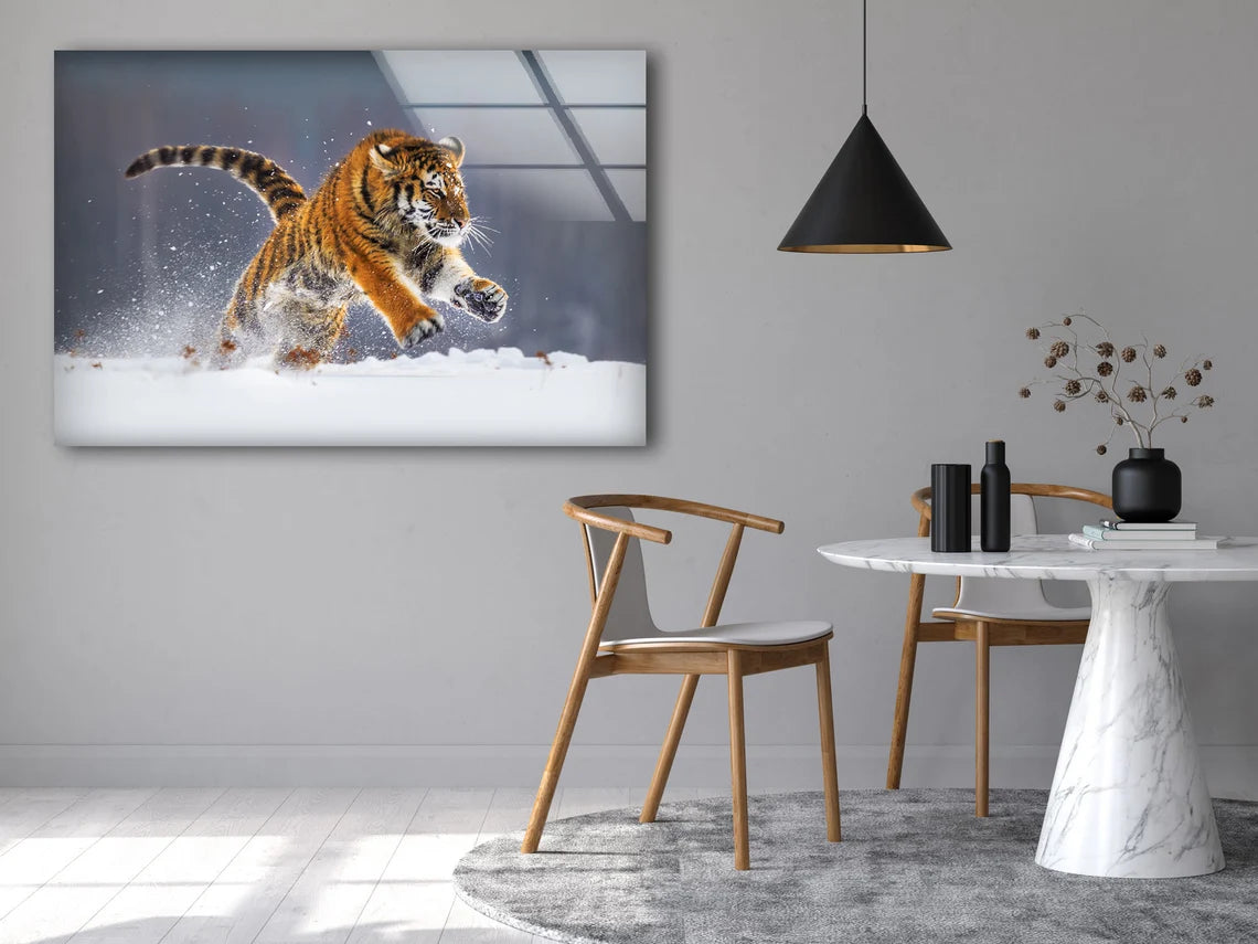 Tiger Running on Snow Photograph Acrylic Glass Print Tempered Glass Wall Art 100% Made in Australia Ready to Hang