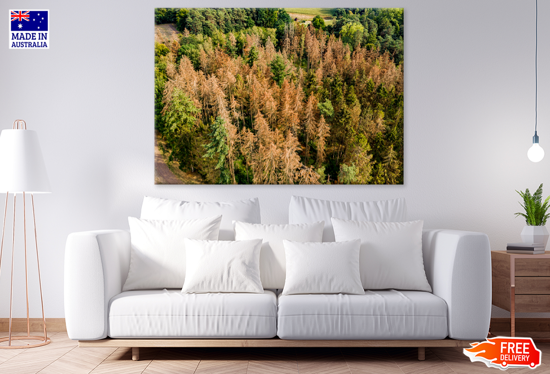 Forest Aerial View Photograph Print 100% Australian Made