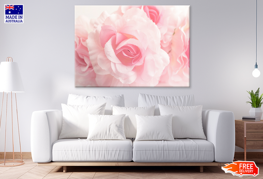 Rose Flower Portrait Closeup Photograph Print 100% Australian Made