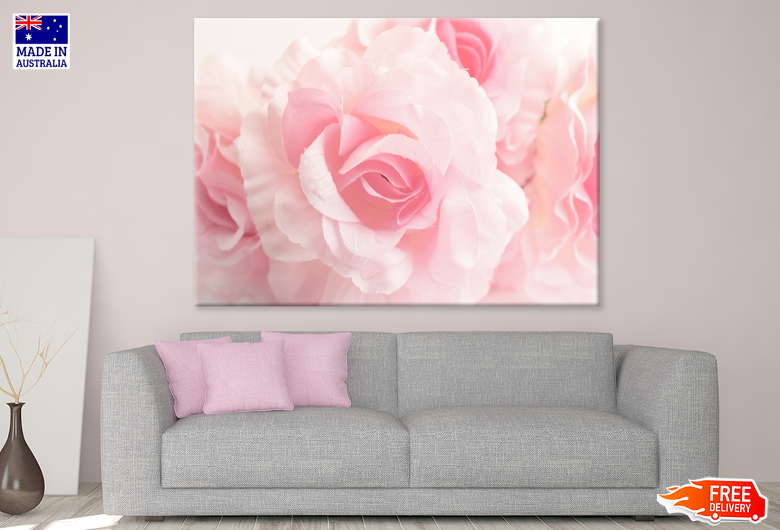 Rose Flower Portrait Closeup Photograph Print 100% Australian Made