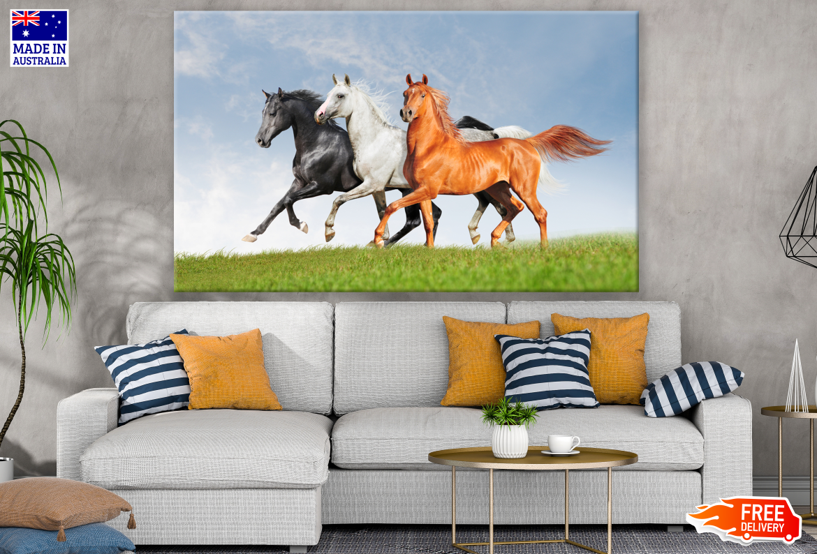 Three Horses Running on Meadow Print 100% Australian Made