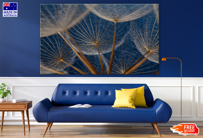 Dandelion Flowers Photograph Print 100% Australian Made