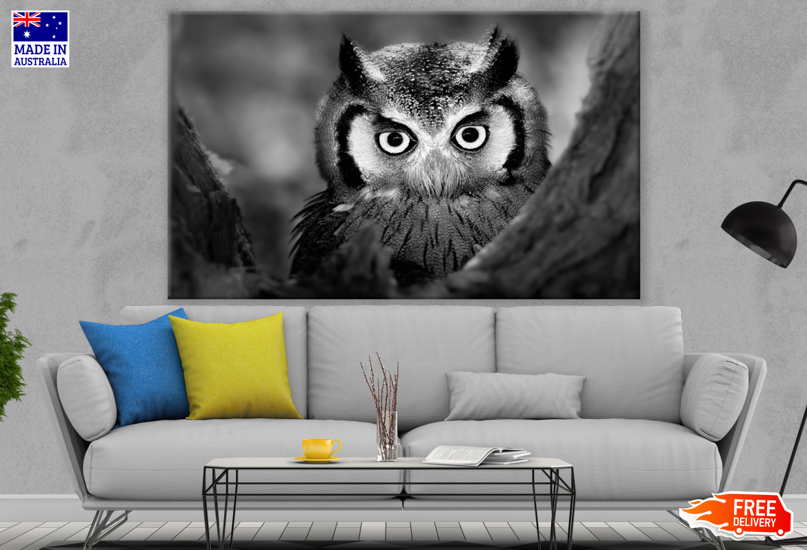 B&W Owl Portrait Photograph Print 100% Australian Made