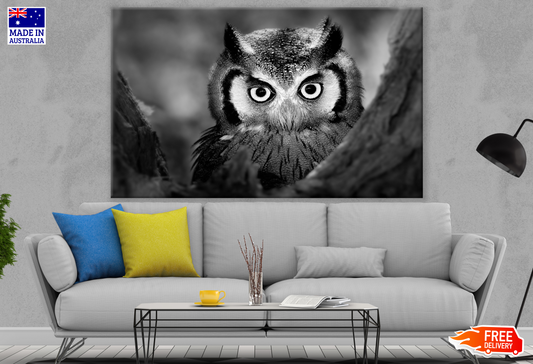 B&W Owl Portrait Photograph Print 100% Australian Made