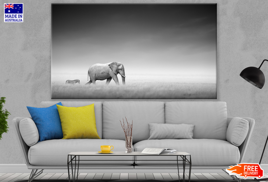 Elephant & Zebra Walking Photograp B&W Print 100% Australian Made