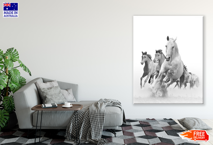 Horses Running on Sand Ground Photograph Print 100% Australian Made