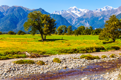 Trees & Mountain View Photograph Print 100% Australian Made