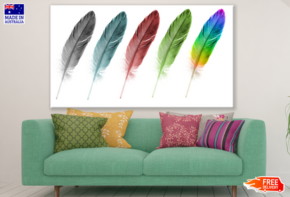 Colourful Feathers Photograph Print 100% Australian Made