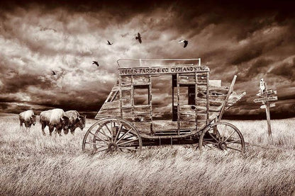 Highland Cows & Cart in Vintage Filter Print 100% Australian Made