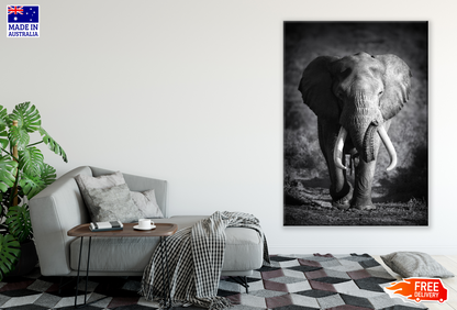 B&W Elephant Walking Photograph Print 100% Australian Made