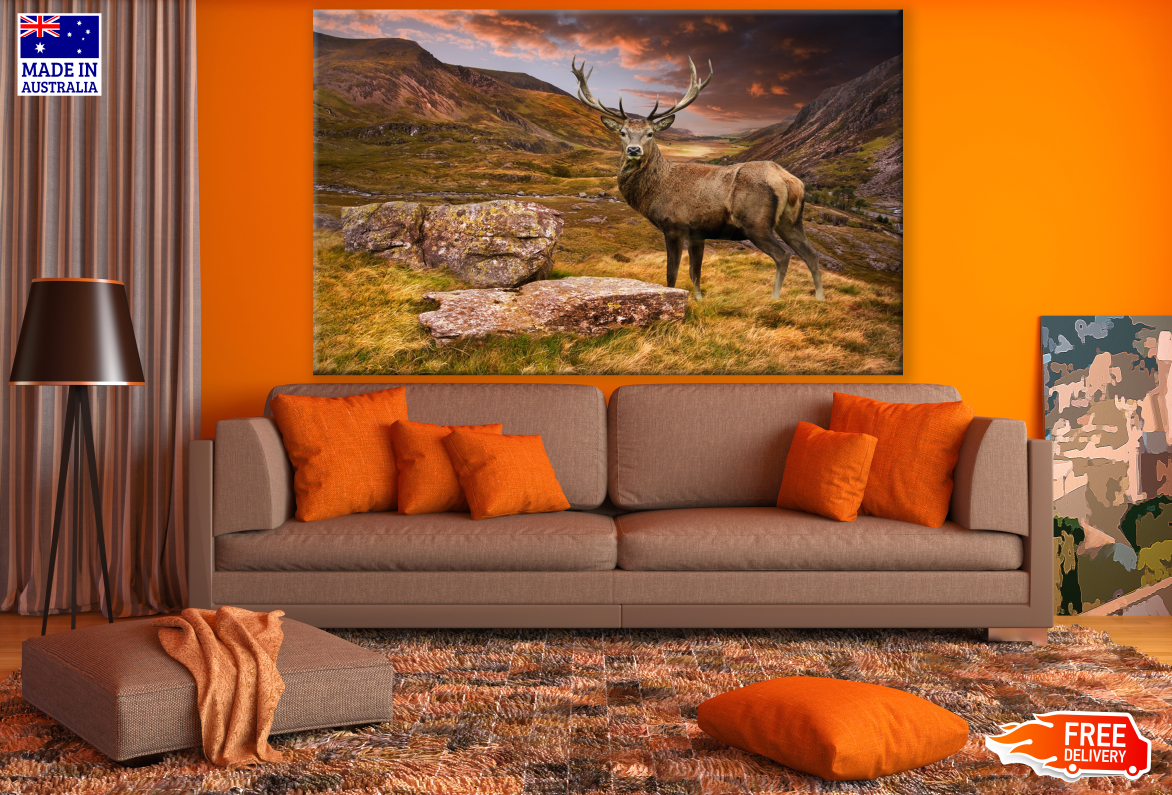 Red Deer Stag in Mountain Sunset Landscape Photograph Print 100% Australian Made