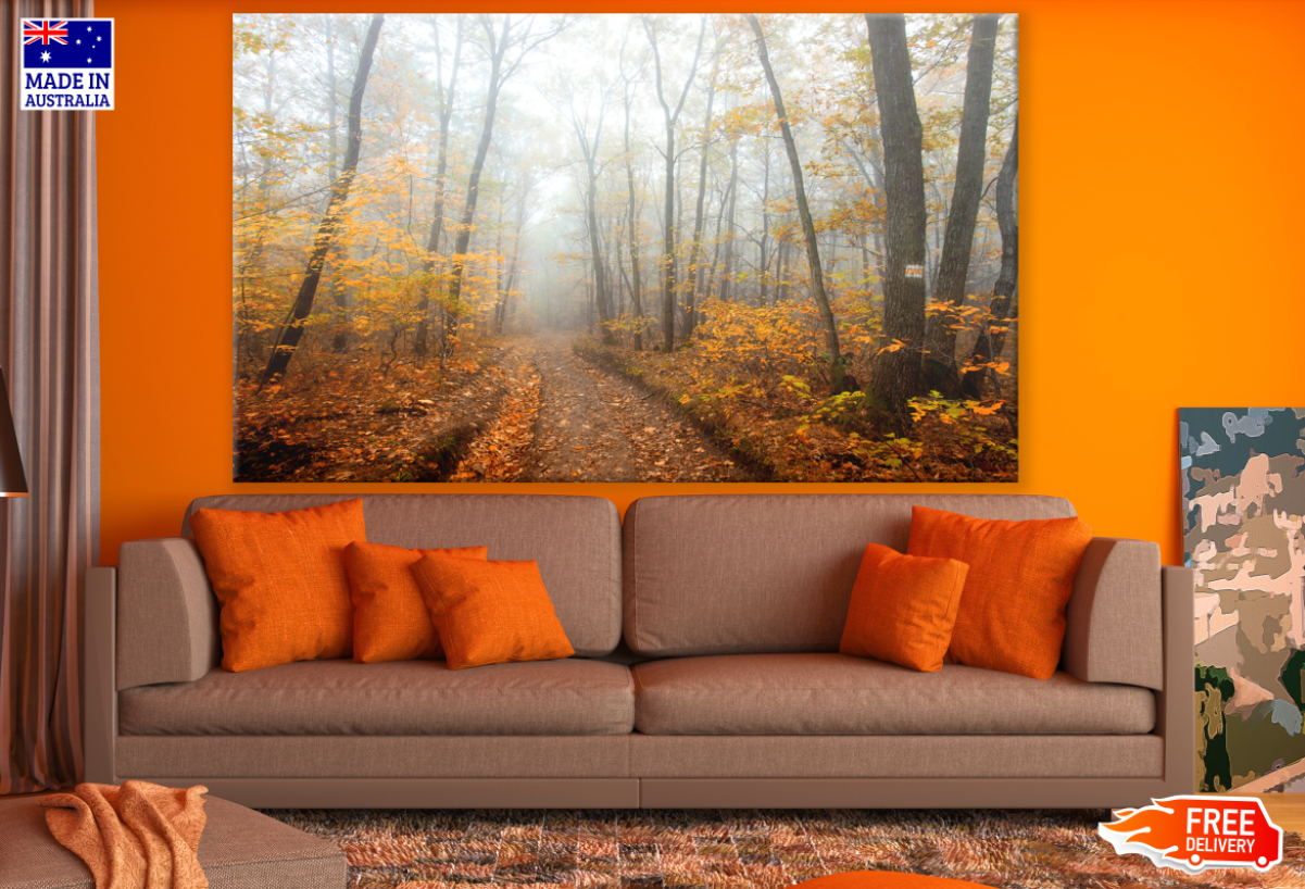 Misty Autumn Tree Forest Photograph Print 100% Australian Made