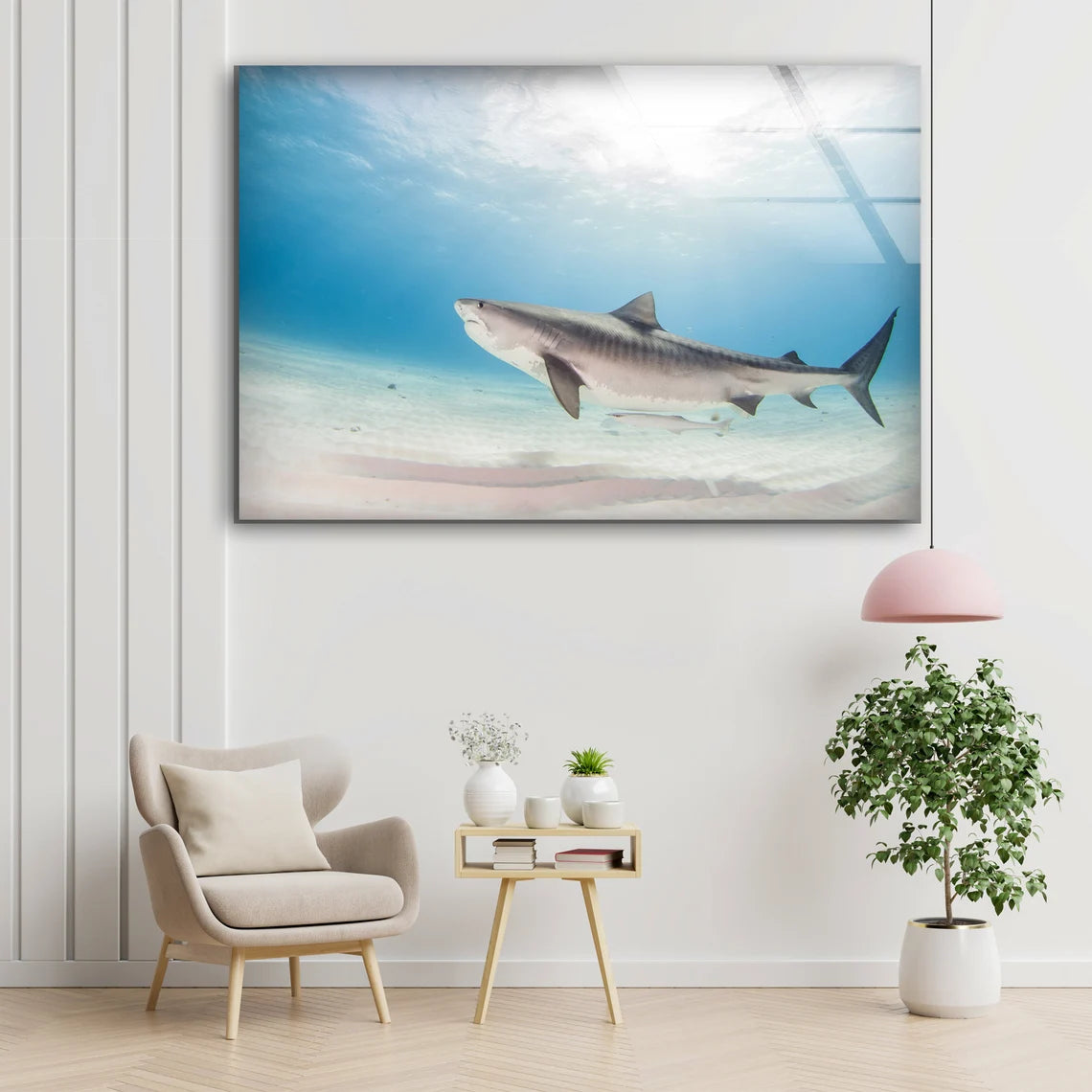 Shark in Sea Photograph Acrylic Glass Print Tempered Glass Wall Art 100% Made in Australia Ready to Hang