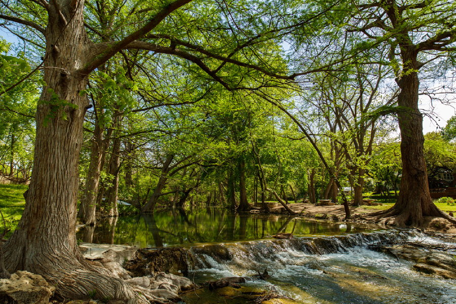 Trees & Waterfall Photograph Print 100% Australian Made