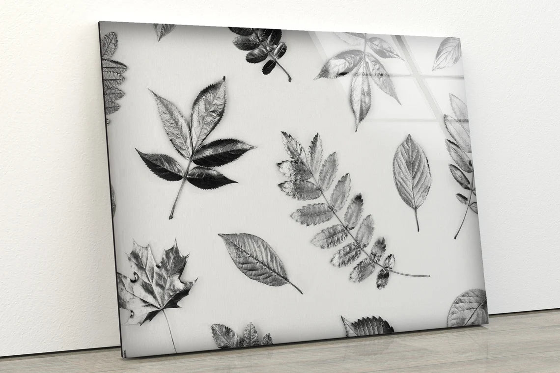 B&W Leaves Pattern Design Acrylic Glass Print Tempered Glass Wall Art 100% Made in Australia Ready to Hang