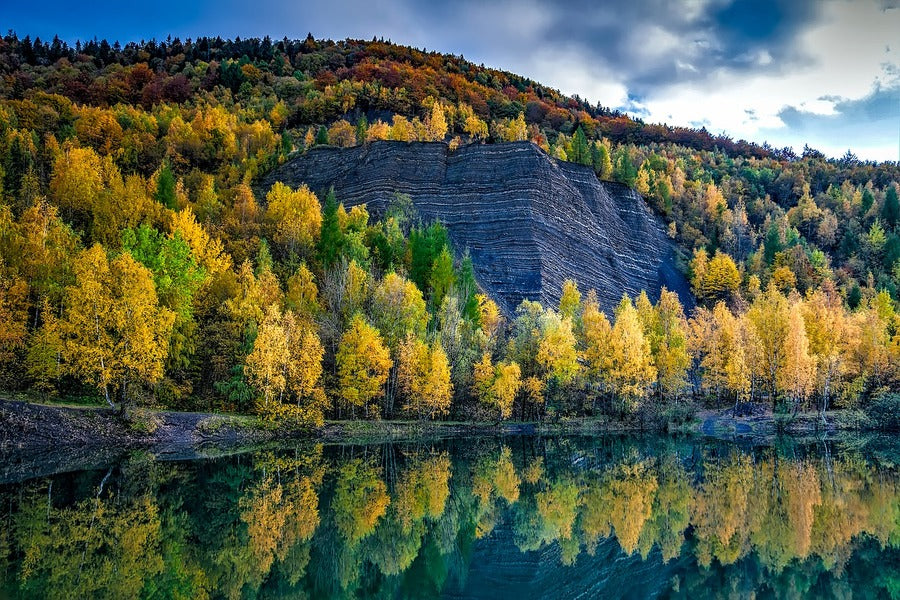 Forest Near Lake & Mountain Autumn Scenery Photograph Print 100% Australian Made