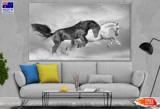 Two Horses Running B&W Photograph Print 100% Australian Made