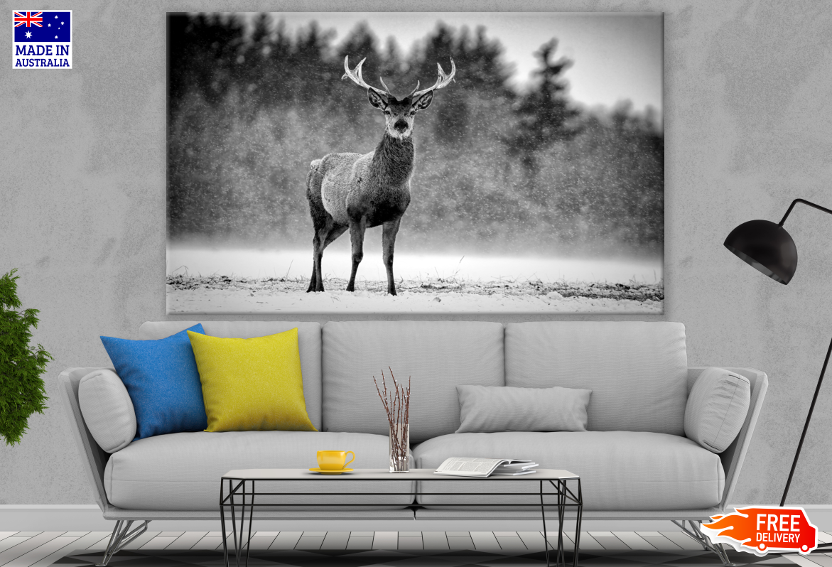 Reindeer B&W Snow Photograph Print 100% Australian Made