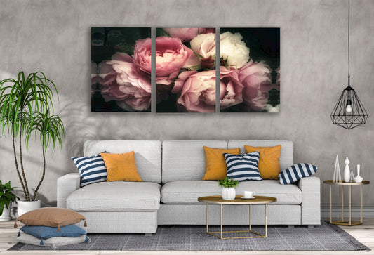 3 Set of Peony Flowers Closeup Photograph High Quality Print 100% Australian Made Wall Canvas Ready to Hang