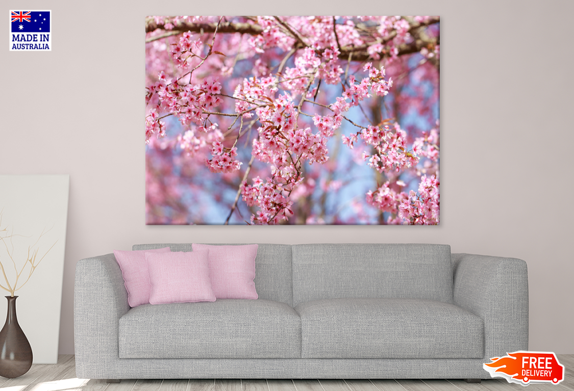 Blossom Flowers Closeup Photograph Print 100% Australian Made