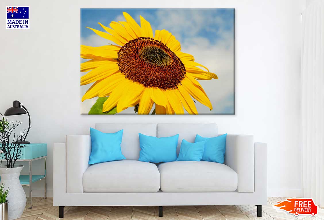 Sunflower Closeup View Photograph Print 100% Australian Made