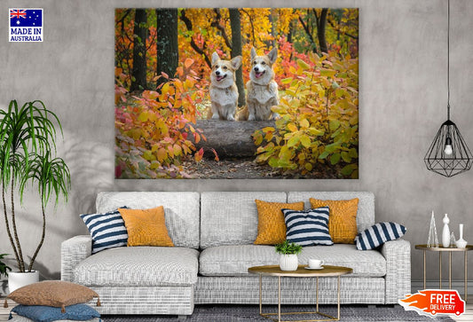 Two Dogs On Autumn Trees Photograph Print 100% Australian Made