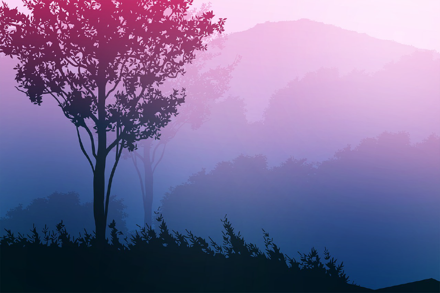 Trees & Misty Nature Vector Art Print 100% Australian Made