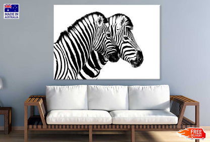 Zebras View B&W Photograph Print 100% Australian Made