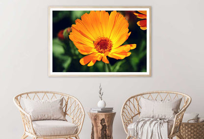 Marigold Flower Closeup View Photograph Home Decor Premium Quality Poster Print Choose Your Sizes