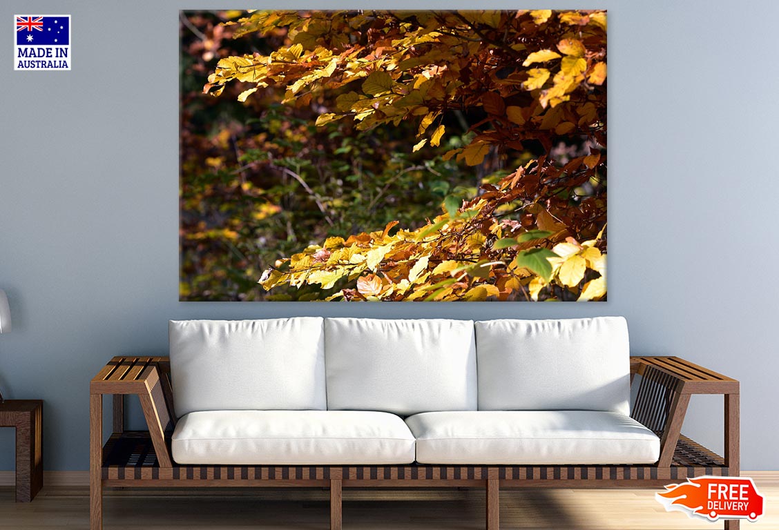 Autumn Leaves Closeup Photograph Print 100% Australian Made