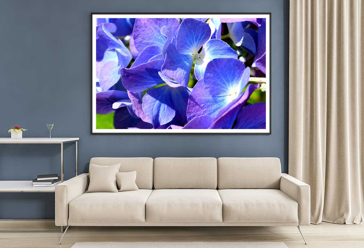 Blue Purple Hydrangea Closeup View Photograph Home Decor Premium Quality Poster Print Choose Your Sizes