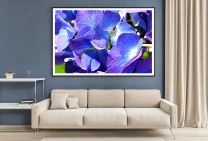 Blue Purple Hydrangea Closeup View Photograph Home Decor Premium Quality Poster Print Choose Your Sizes