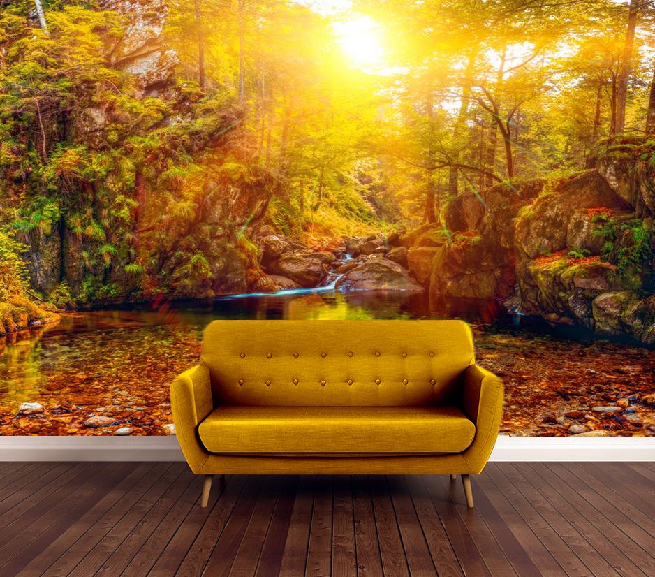 Wallpaper Murals Peel and Stick Removable Sunset View in Forest High Quality