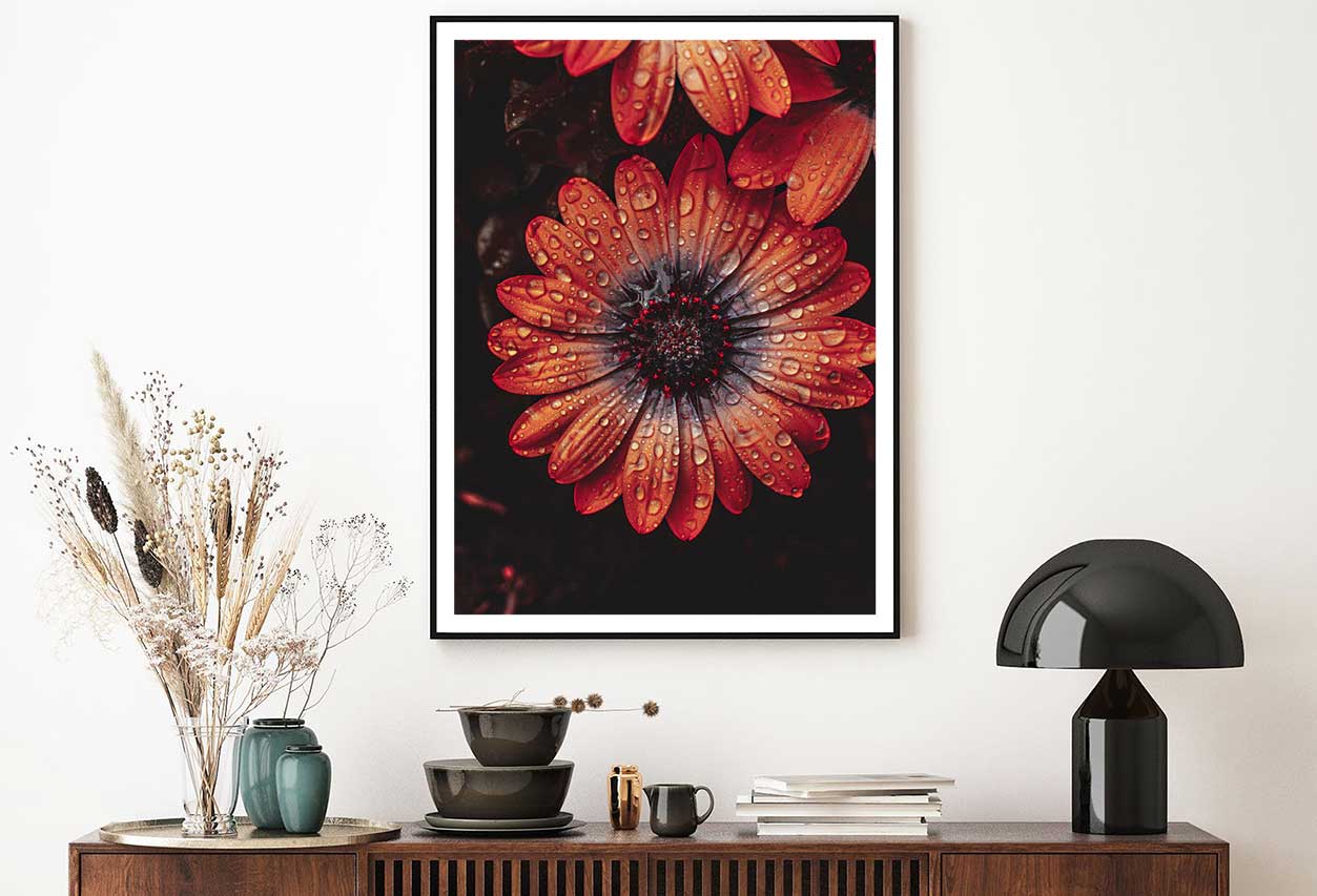 Water Droplet on Orange Gerbera View Photograph Home Decor Premium Quality Poster Print Choose Your Sizes