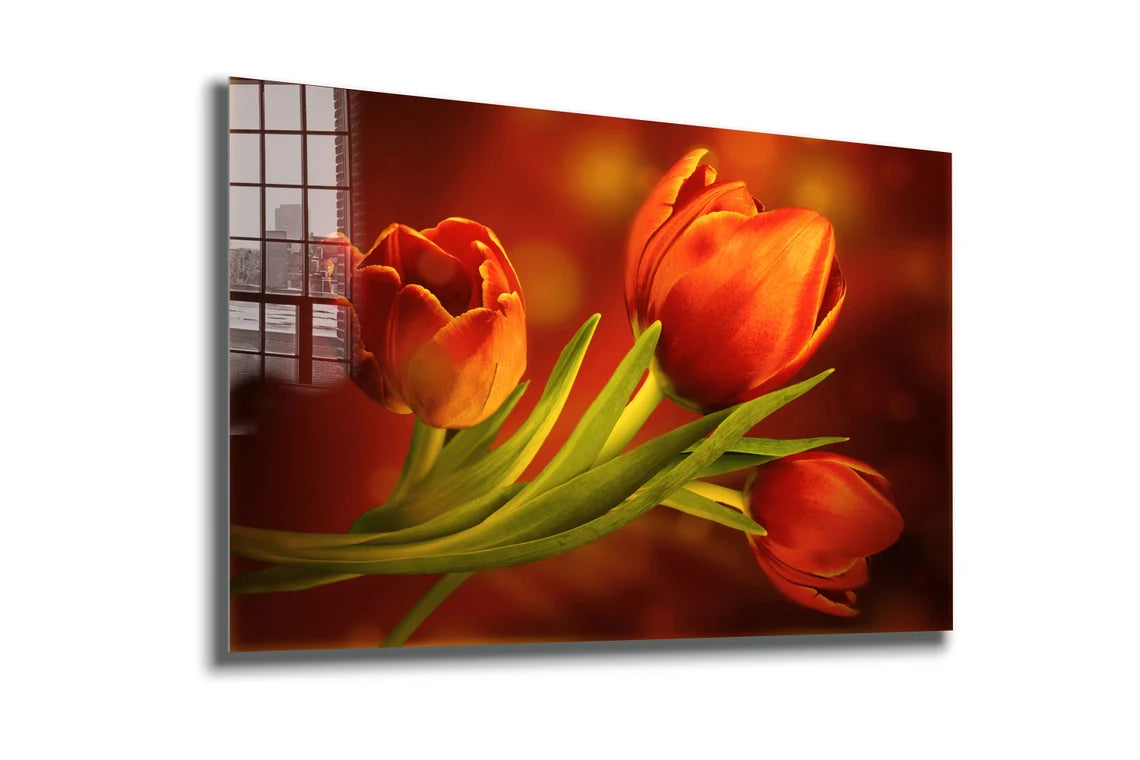 Red Orange Tulips View Print Tempered Glass Wall Art 100% Made in Australia Ready to Hang