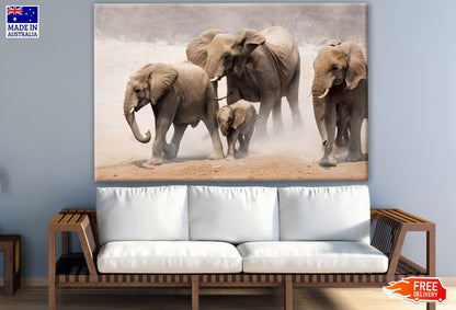 Running Elephant Family on Sand Photograph Print 100% Australian Made