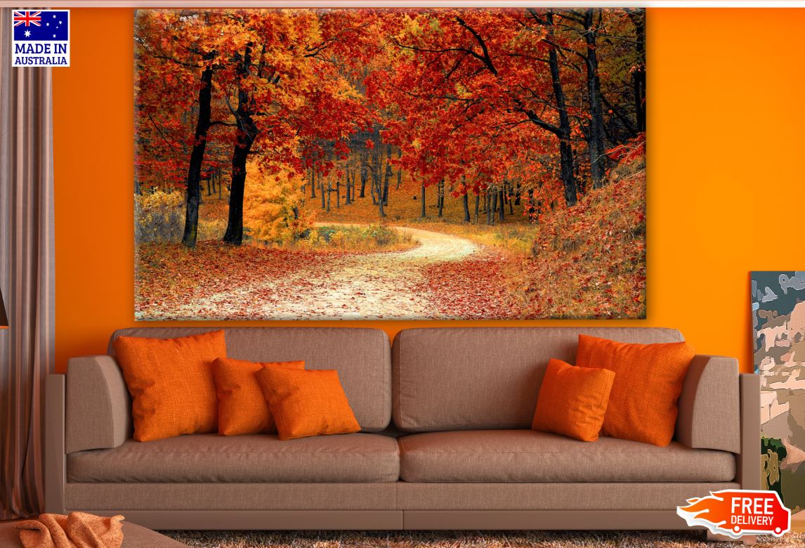 Autumn Forest Road Print 100% Australian Made