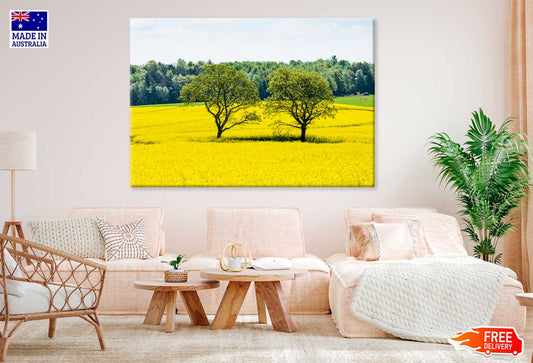 Trees on Yellow Flower Field Scenery Photograph Print 100% Australian Made