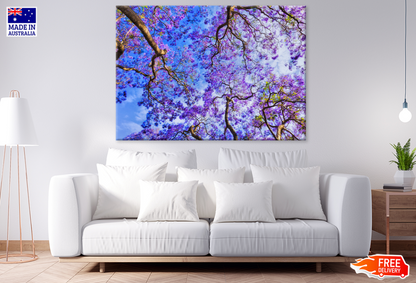 Blossom Flower Trees View Photograph Print 100% Australian Made